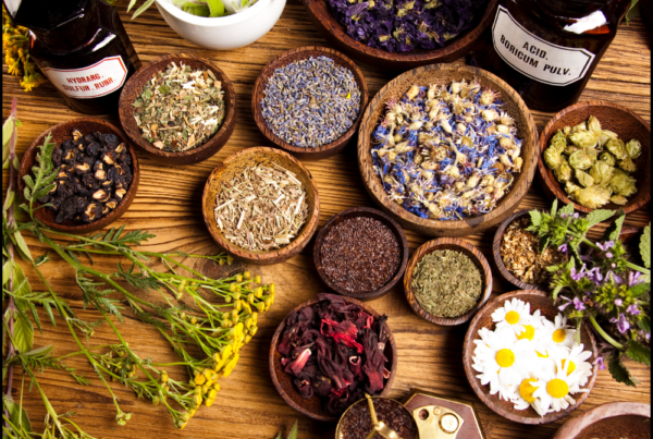 This picture shows a lot of bowls filled with natural ingredients.